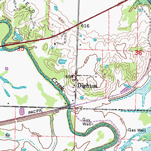 Topographic Map of Dighton, OK