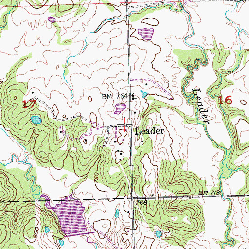 Topographic Map of Leader, OK