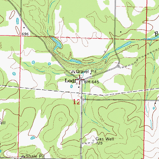 Topographic Map of Lodi, OK