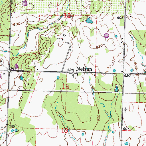 Topographic Map of Nelson, OK