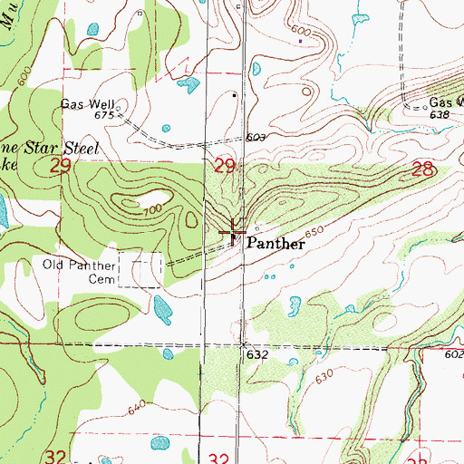 Topographic Map of Panther, OK