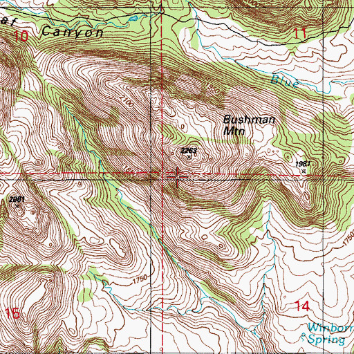 Topographic Map of Bushman Mountain, OK