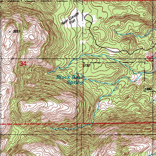 Topographic Map of Black Bear Spring, OK