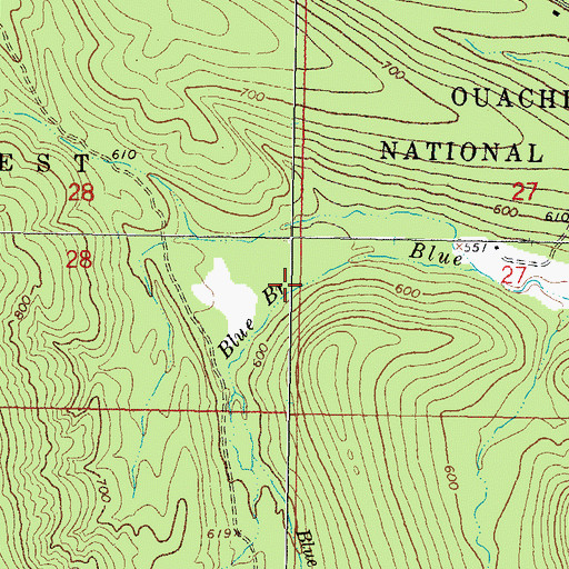 Topographic Map of Blue Branch, OK