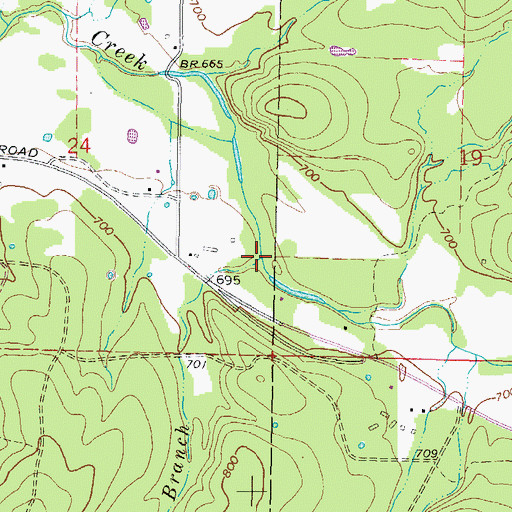 Topographic Map of Negro Branch, OK