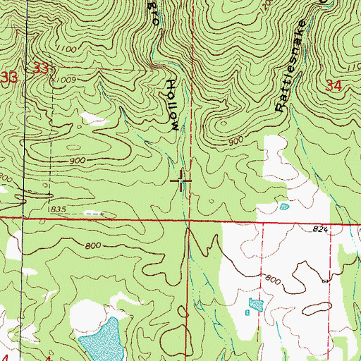 Topographic Map of Negro Hollow, OK