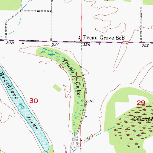 Topographic Map of Young Lake, OK