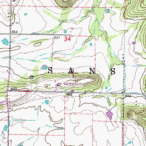 Topographic Map of Sans Bois, OK