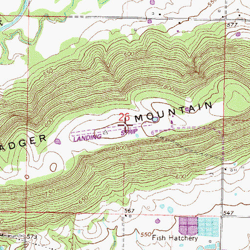 Topographic Map of Gustafson Airport, OK