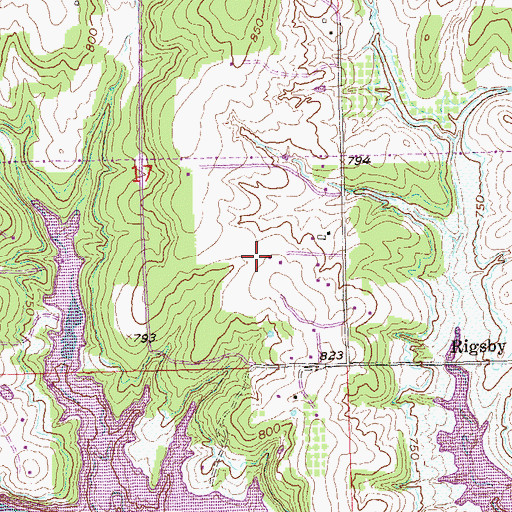 Topographic Map of Rigsby, OK
