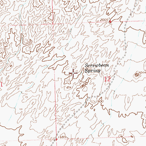 Topographic Map of Screwbean Spring, AZ