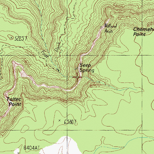 Topographic Map of Seep Spring, AZ