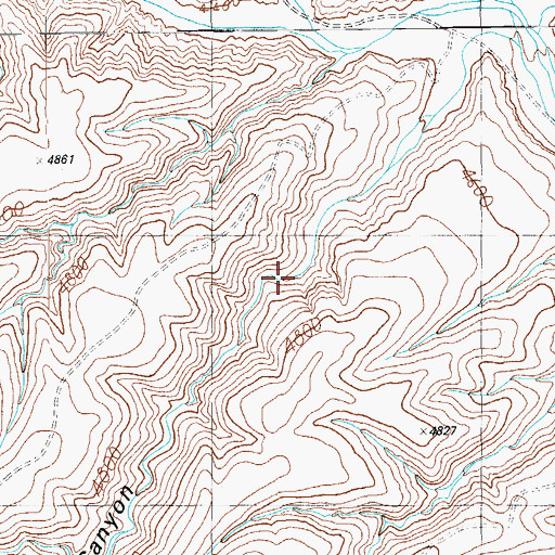 Topographic Map of Bear Canyon, AZ