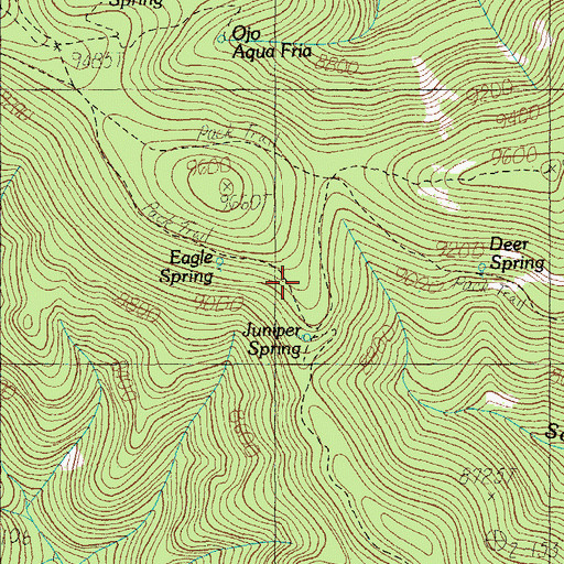 Topographic Map of Juniper Spring, AZ