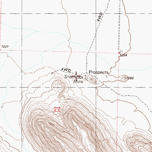Topographic Map of Shamrock Mine, AZ