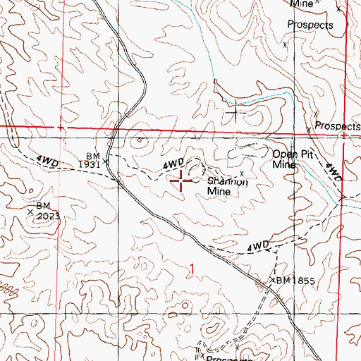 Topographic Map of Shannon Mine, AZ