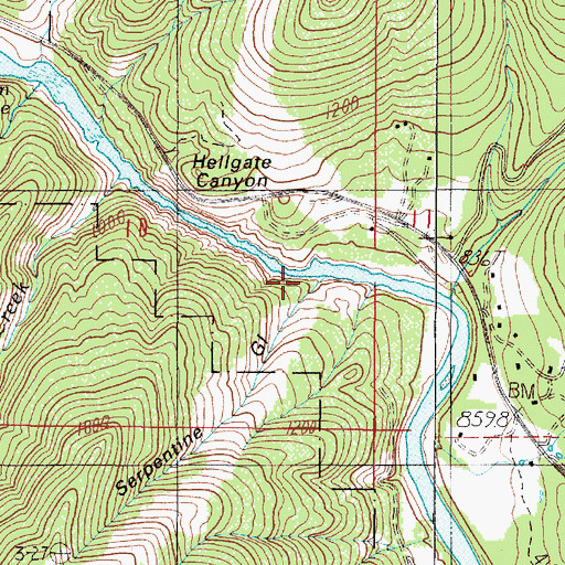 Topographic Map of Serpentine Gulch, OR