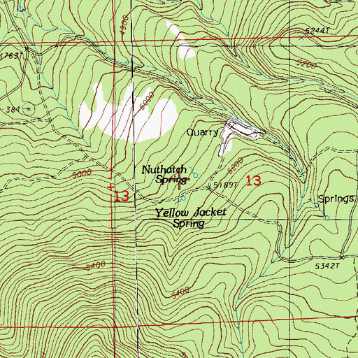 Topographic Map of Nuthatch Springs, OR