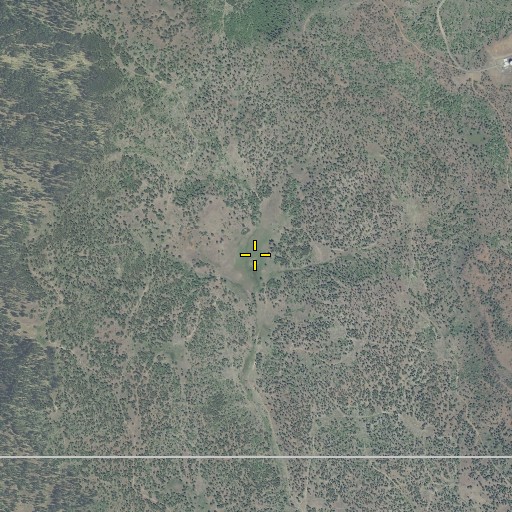 Aerial/Satellite Image of Widow Meadow, OR