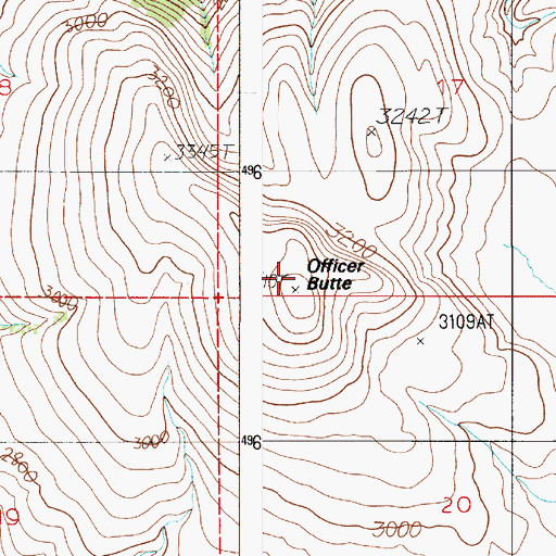 Topographic Map of Officer Butte, OR