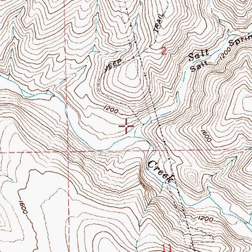 Topographic Map of Salt Springs Canyon, OR