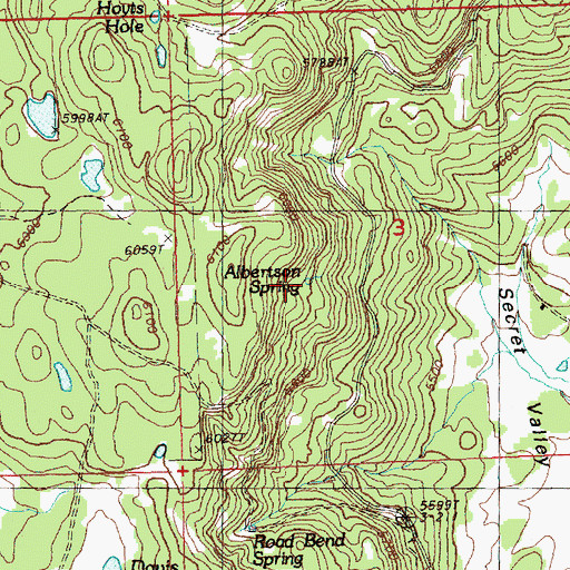 Topographic Map of Albertson Spring, OR