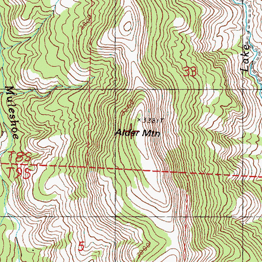 Topographic Map of Alder Mountain, OR