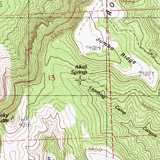 Topographic Map of Alkali Springs, OR