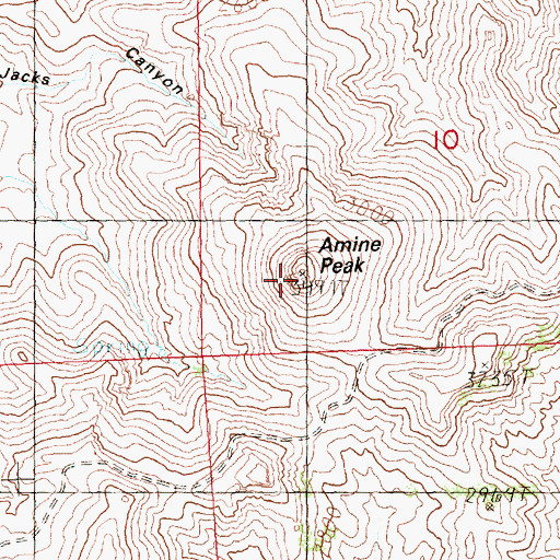 Topographic Map of Amine Peak, OR