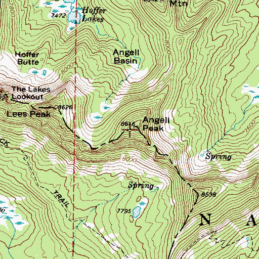 Topographic Map of Angell Peak, OR
