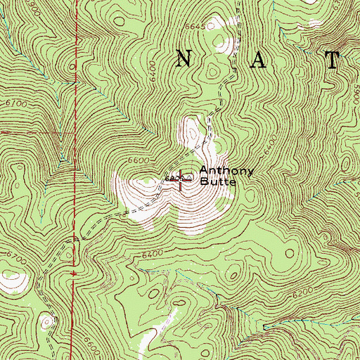 Topographic Map of Anthony Butte, OR