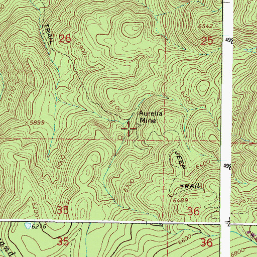 Topographic Map of Aurelia Mine, OR