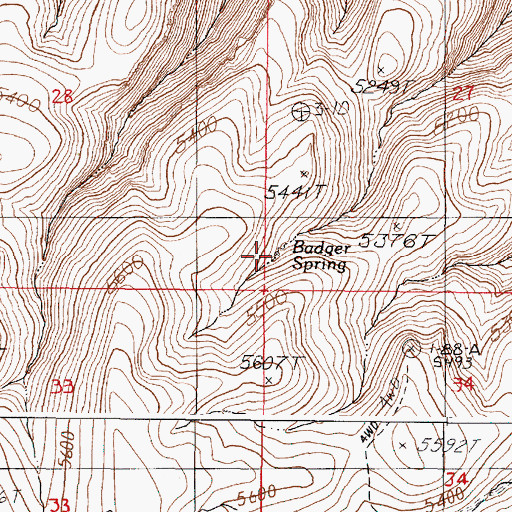 Topographic Map of Badger Spring, OR