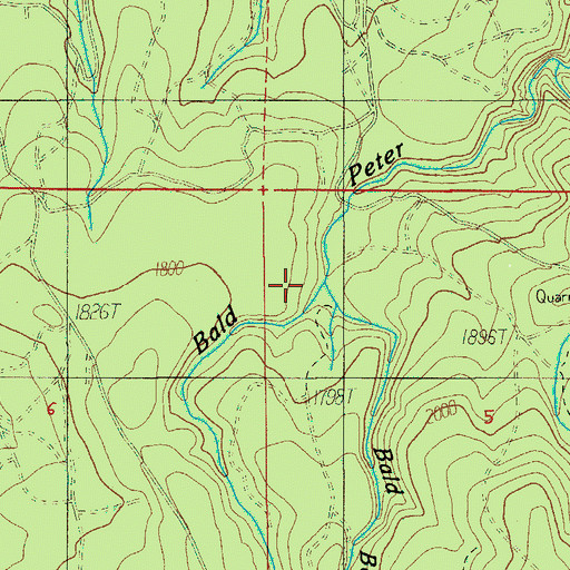 Topographic Map of Bald Barney Creek, OR