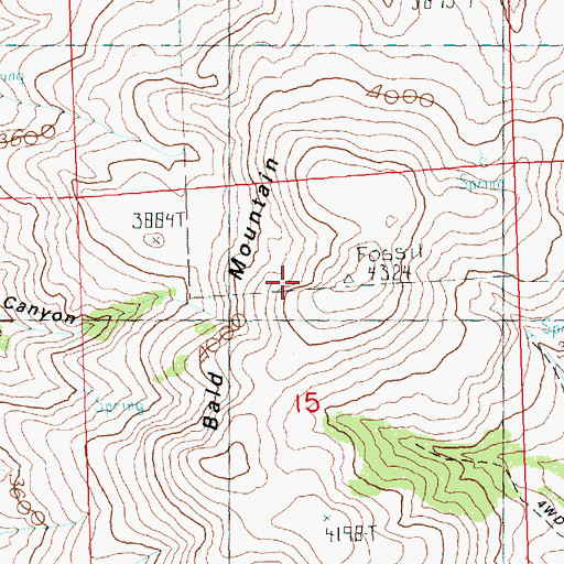 Topographic Map of Bald Mountain, OR