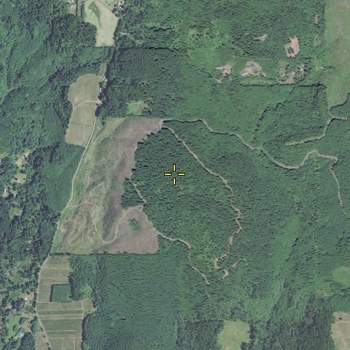 Aerial/Satellite Image of Bald Mountain, OR