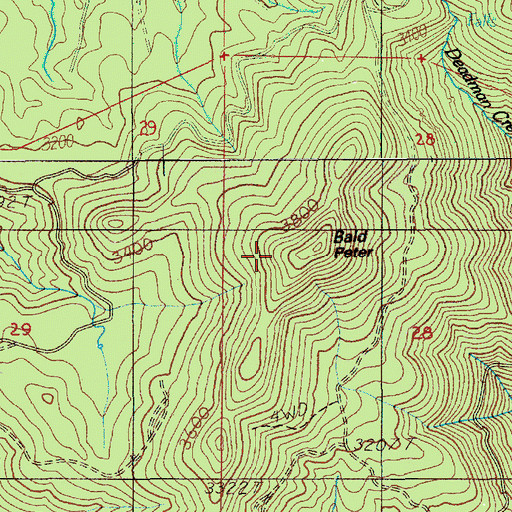 Topographic Map of Bald Peter, OR