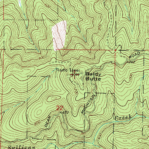 Topographic Map of Baldy Butte, OR