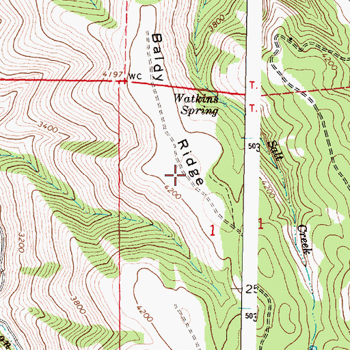 Topographic Map of Baldy Ridge, OR