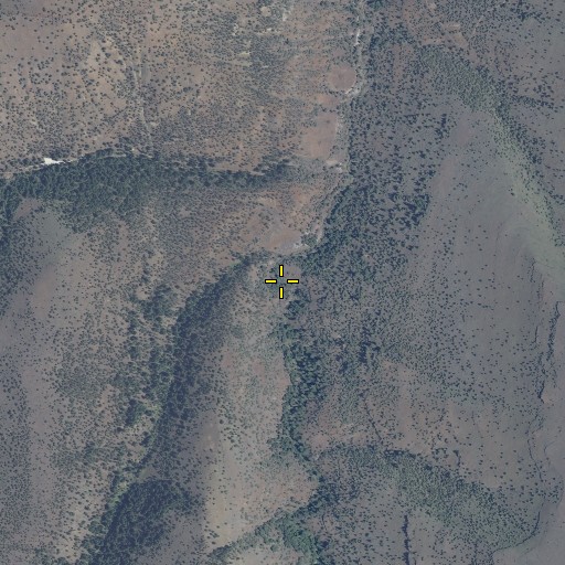 Aerial/Satellite Image of Bear Creek, OR