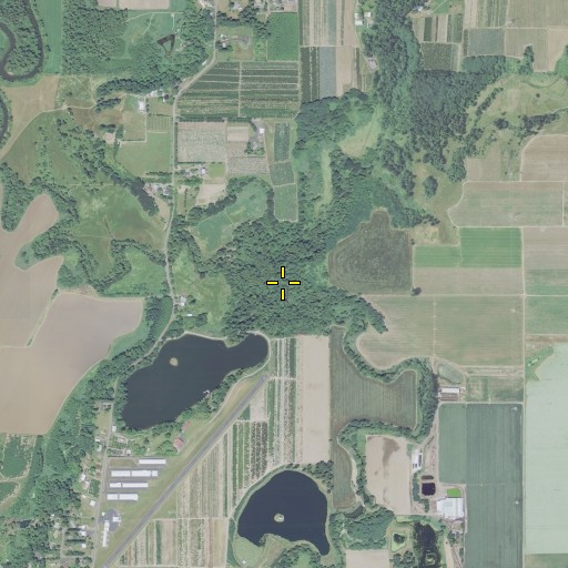 Aerial/Satellite Image of Bear Creek, OR