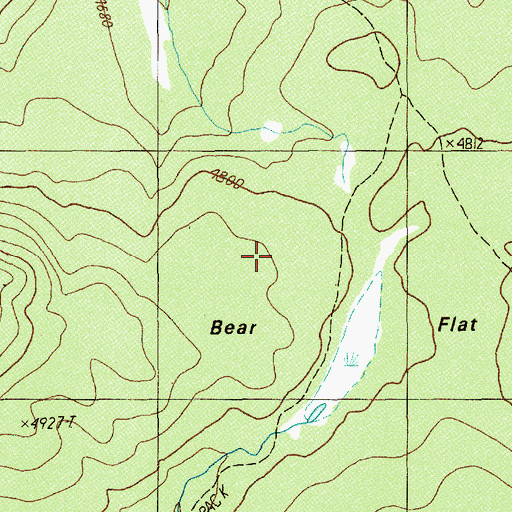 Topographic Map of Bear Flat, OR