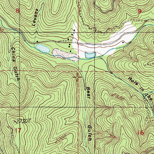 Topographic Map of Bear Gulch, OR