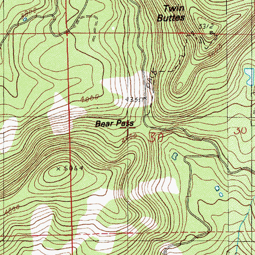 Topographic Map of Bear Pass, OR