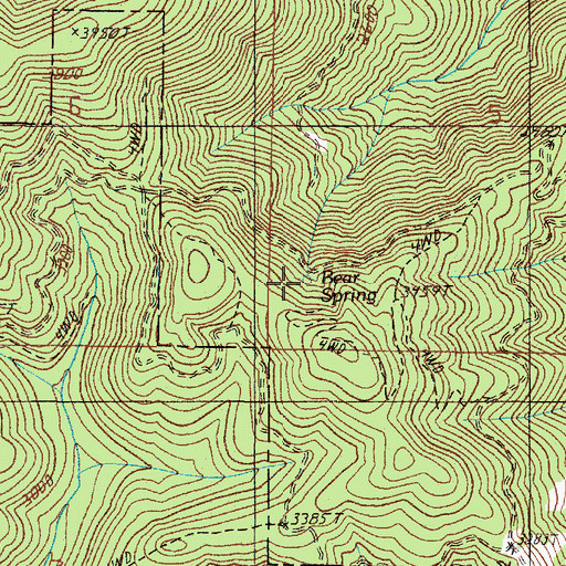 Topographic Map of Bear Spring, OR