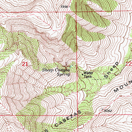 Topographic Map of Sheep Canyon Spring, AZ