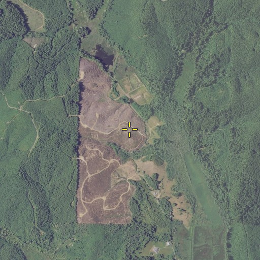 Aerial/Satellite Image of Beaver Hill, OR