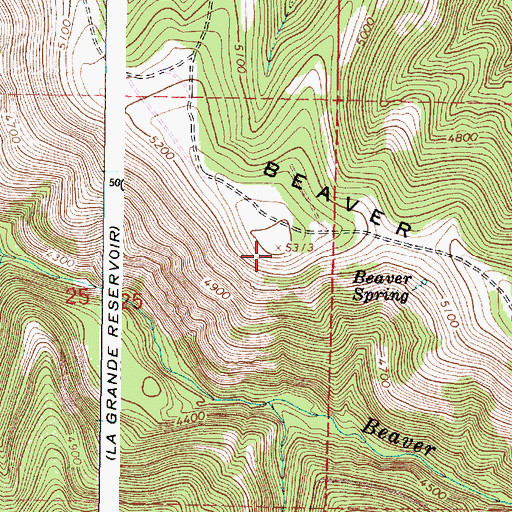 Topographic Map of Beaver Ridge, OR