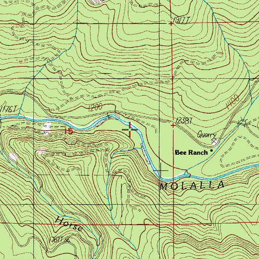Topographic Map of Bee Ranch, OR