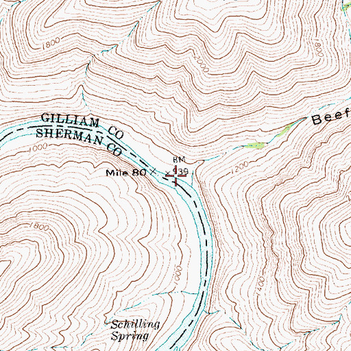 Topographic Map of Beef Hollow, OR